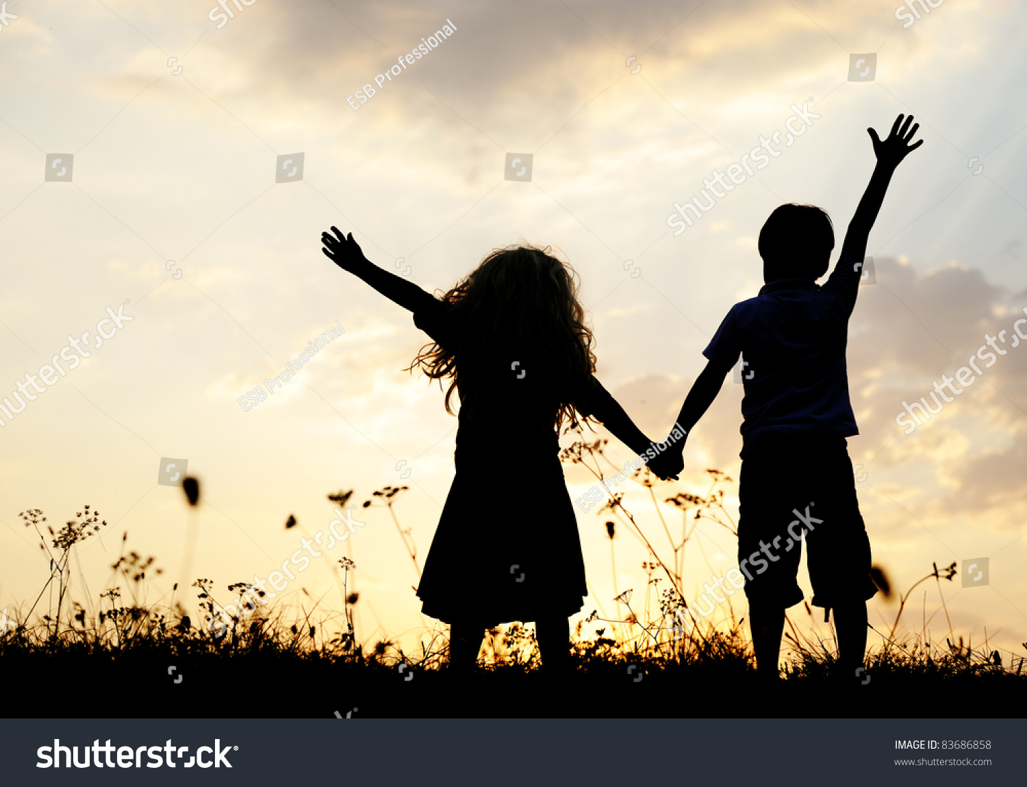 भाई-बहन के बीच एक दिव्य संबंध:-