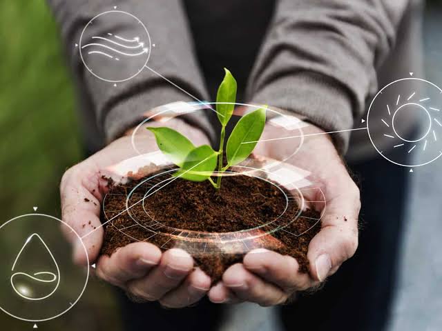 2024 खेती के सुक्षाव में बदलाव और सुझाव खेत की मिट्टी पर डिपेंड करता हैं। 