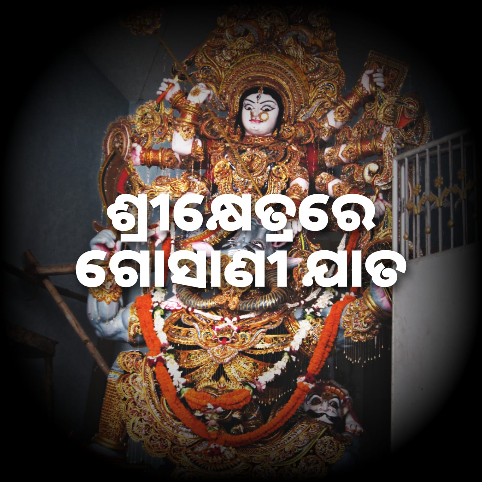 ଶ୍ରୀକ୍ଷେତ୍ରରେ ଗୋସାଣୀ ଯାତ 
