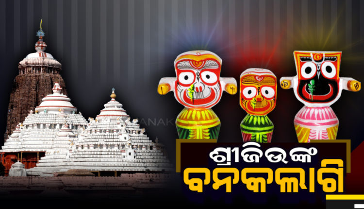 ବନକଲାଗି ବା ଶ୍ରୀମୁଖସିଂହାର