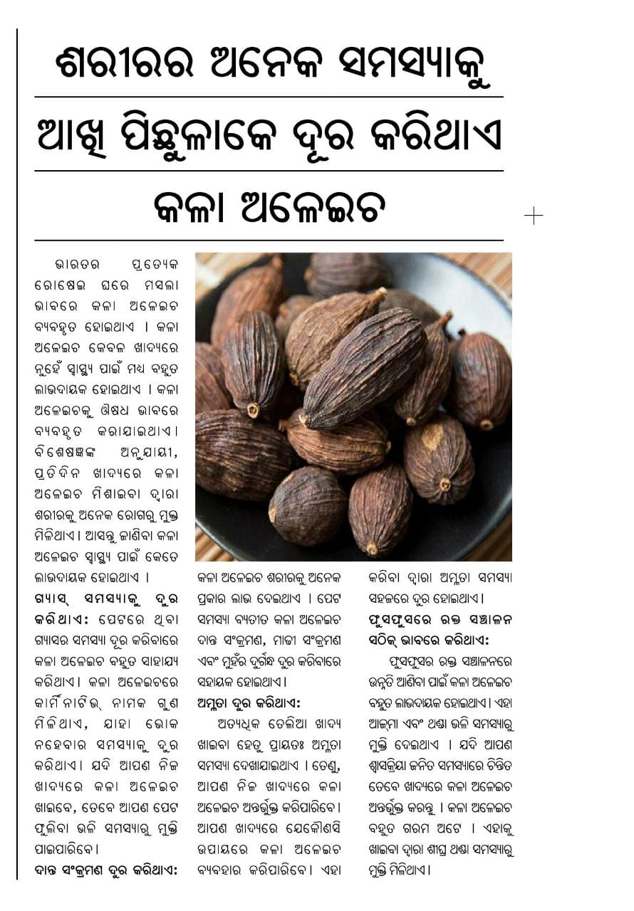 ଶରୀରର ଅନେକ ସମସ୍ୟାକୁ ଆଖି ପିଛୁଳାକେ ଦୂର କରିଥାଏ କଳା ଅଳେଇଚ