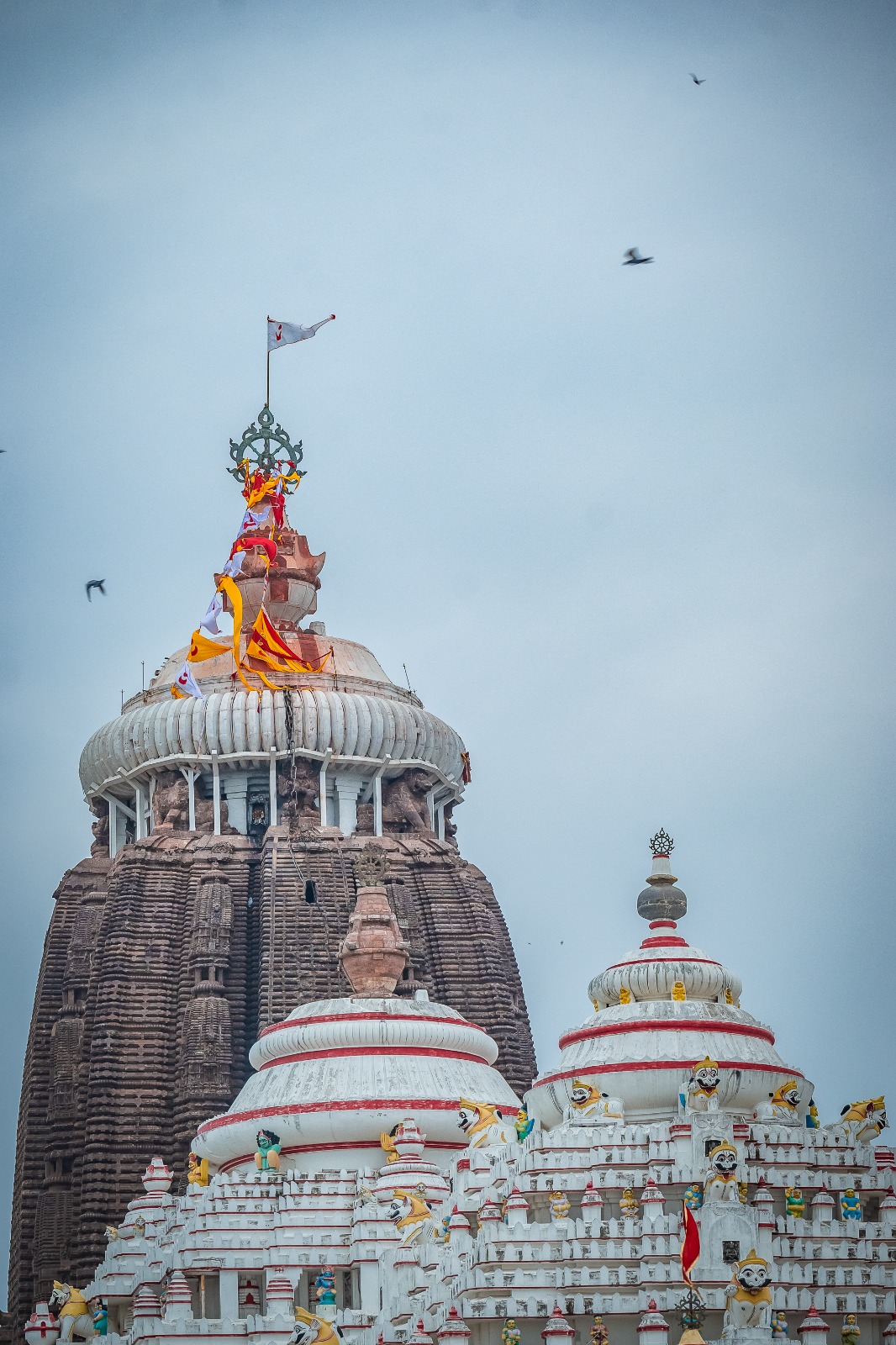 କ୍ଷେତ୍ର କାହାକୁ କହନ୍ତି ?