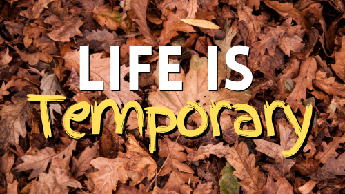 Life is temporary ⌚