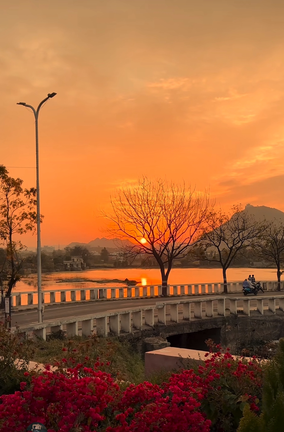 उगता सूरज 