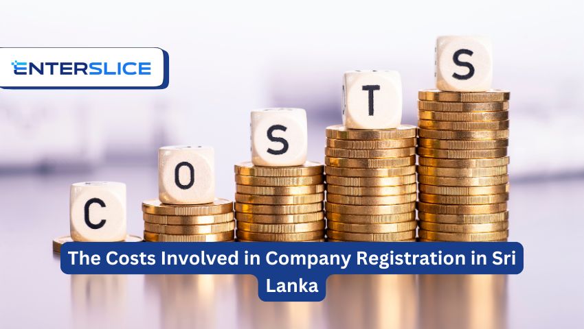 Detailed Breakdown of Costs Involved in Company Registration in Sri Lanka